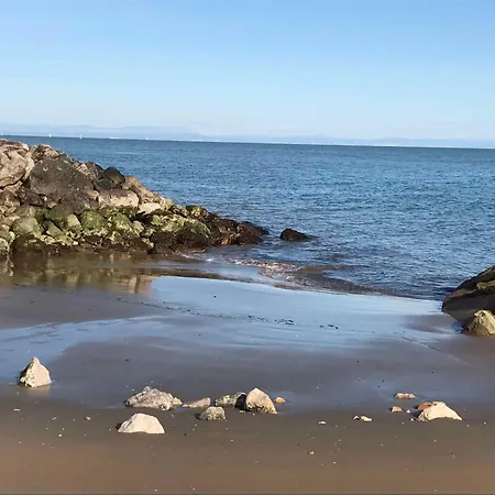 In 37069 * بيبيوني