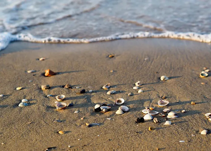 아파트 In 37069 비비오네