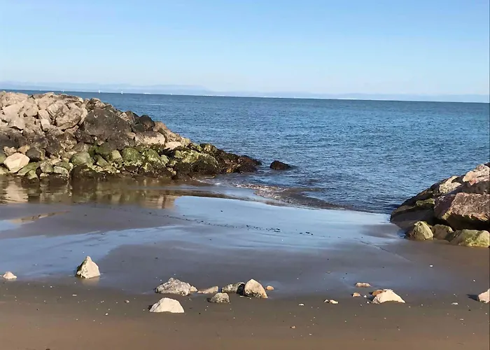 In 37069 * 비비오네